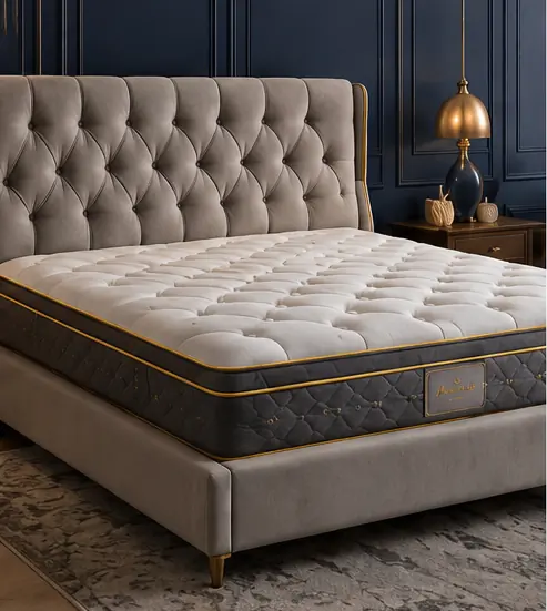 حرفه‌ای
